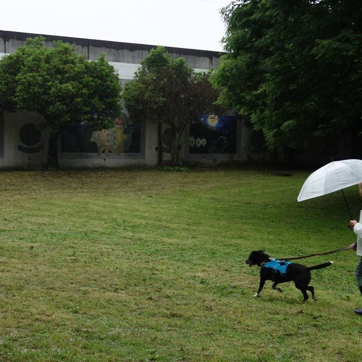 Bb80f3ef f1a2 499c 88ac 1c26d6f08b31 1746834319986