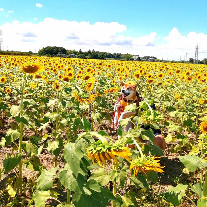 Bb810804 fad2 4a50 8b18 29d22ebfce5c 1692941664569