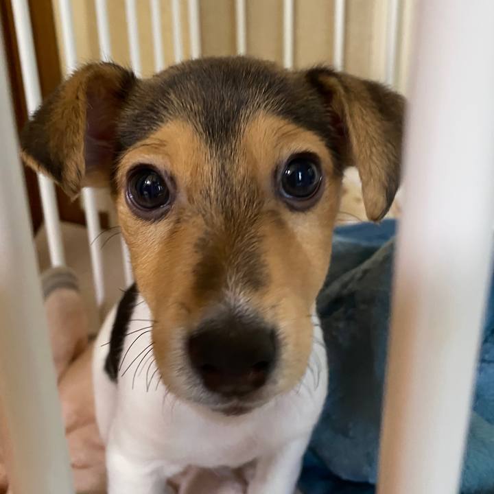 Bb811745 cf10 40f4 912e 0da311f80a0c 1763205858131