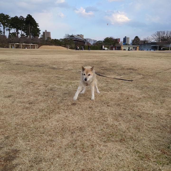 Bb813f25 bc05 45b1 9a3b ce044543ff0d 1612684152593