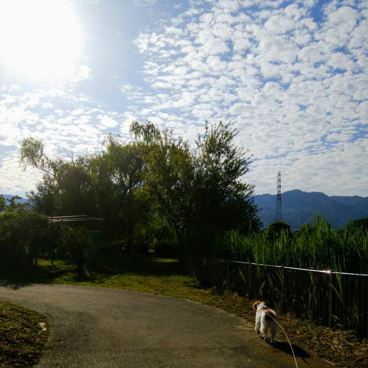 Bb8142c8 d705 4f40 afad 5d5ec2bc85cc 1559518043151