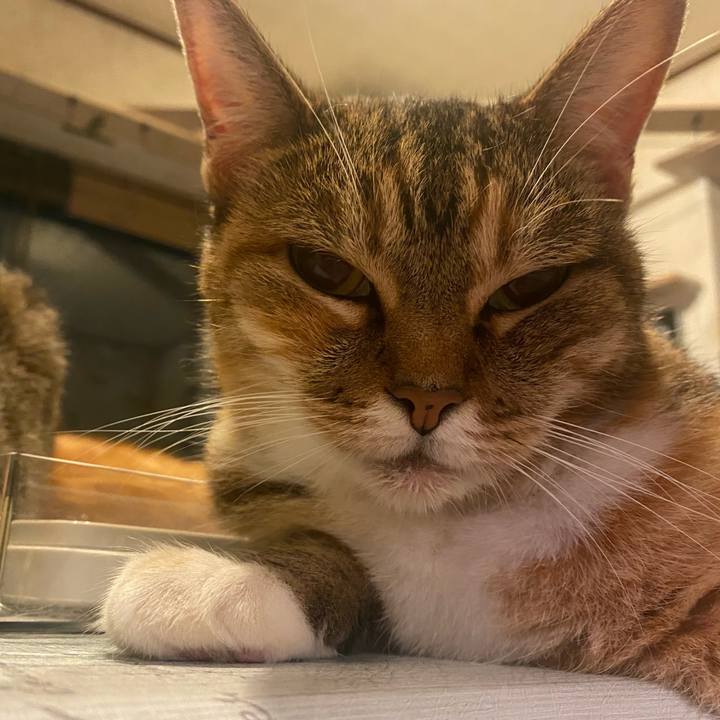 Bb8160f5 d51f 439b a6a1 d0a20b80b967 1627485619230