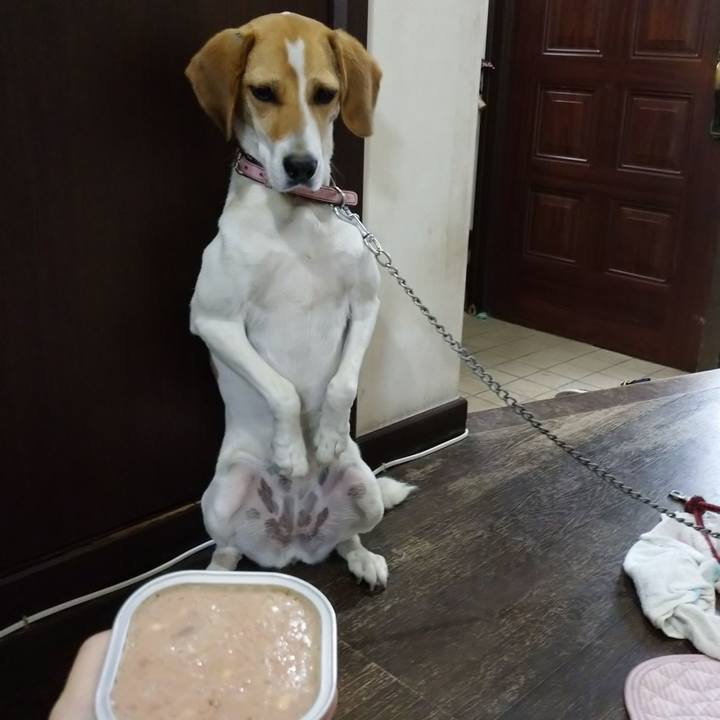 Bb81ef95 3942 4d58 88b3 11f1d89f908c 1594022449400