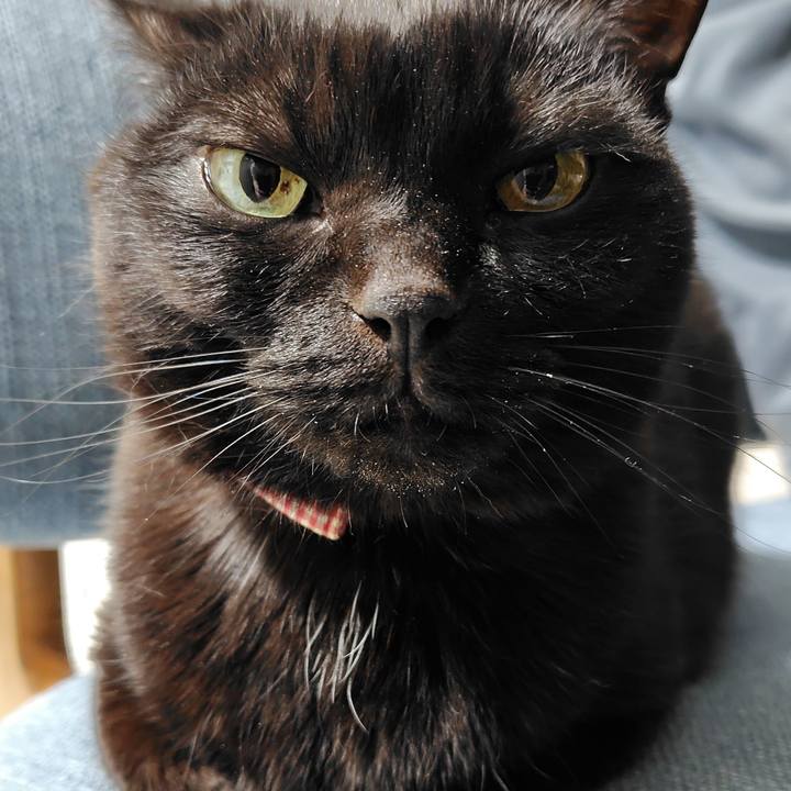 Bb81f356 8073 472c b489 9b9a19f3840f 1746708039612