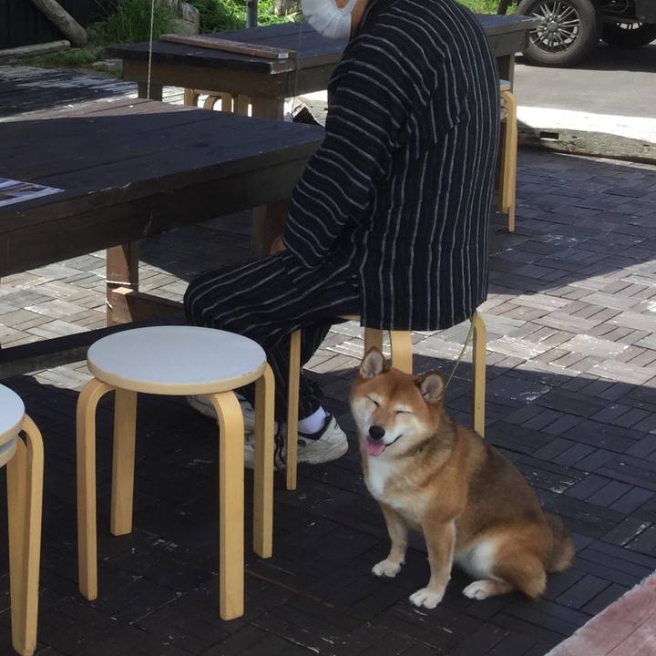 Bb81fc35 1fca 4ef7 8631 b911040a169d 1565247246298