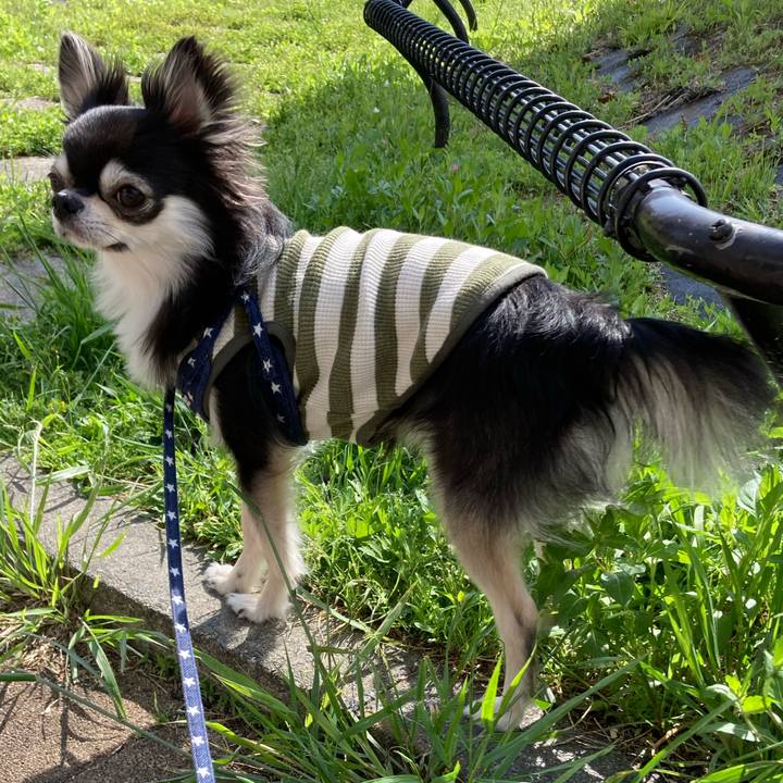 Bb8226a9 e5a8 4566 9850 161fccc21dc4 1651982542037