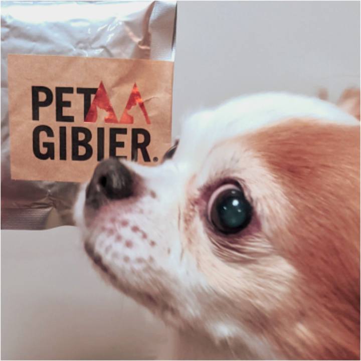 Bb8228f4 50e1 4a2e 8dea 9353d8ef664c 1612927671030