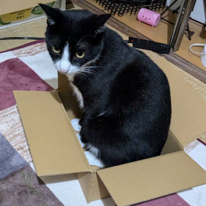 Bb823eac 12fc 44d2 9ed3 fcc6d1cb533e 1729757722537