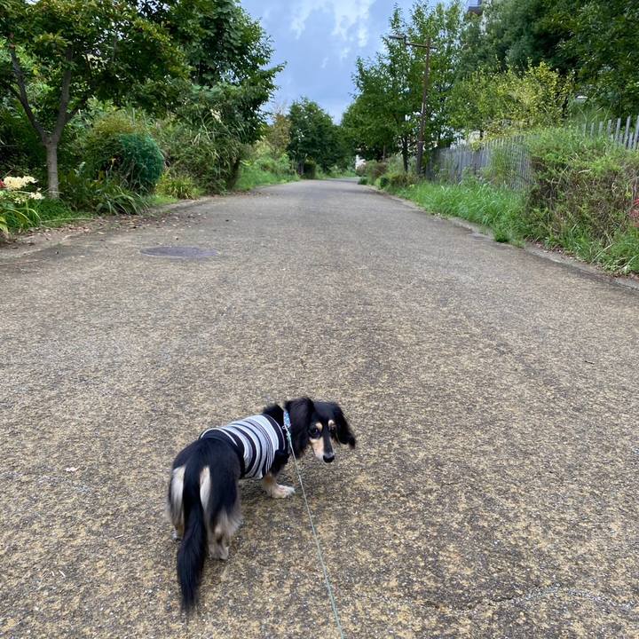 Bb8254d8 2ffe 46b5 9b49 91727b5d64a7 1759534639665