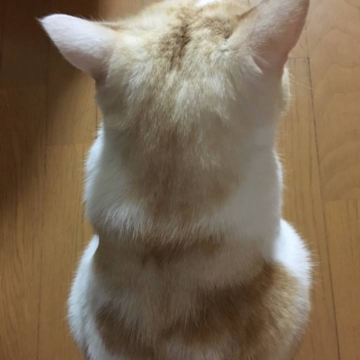 Bb8257c3 e866 4deb bacc 6f4631036146 1511039915840