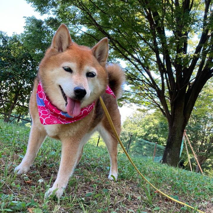 Bb826d04 fe18 4ece bee2 2dbfe556d6e8 1656658986405