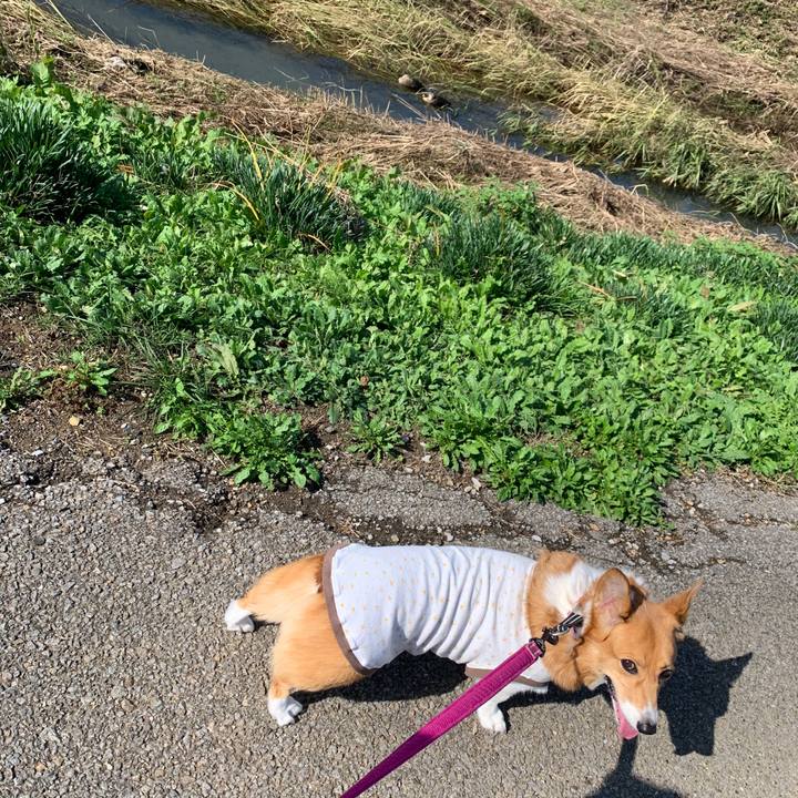 Bb82be7d 23a2 4192 8adb 4e62f1230e3e 1572412896765