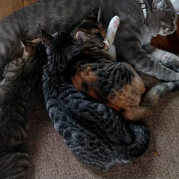 Bb82c9f8 5ba3 45f8 a12b 4a7a4f4de1be 1694393776649