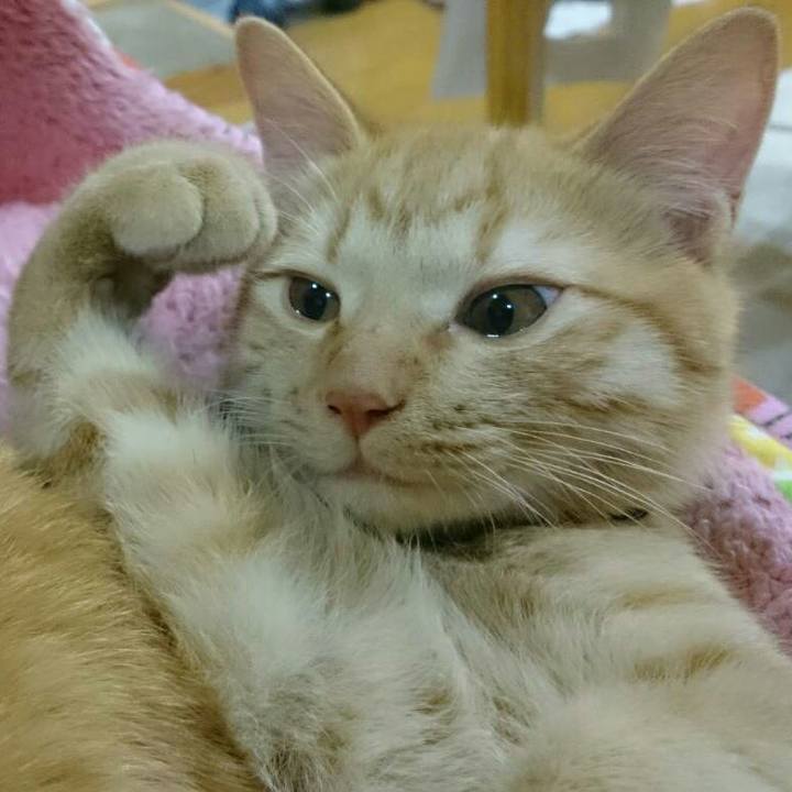 Bb82fc64 67d3 427f b36c 003e89d9fda1 1544848433894