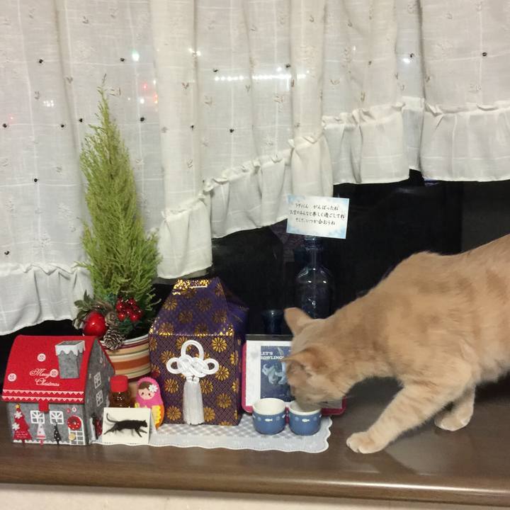 Bb831ea8 6455 4e6f b101 9f2cade324b2 1545221382680