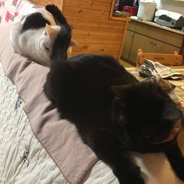 Bb83264c d784 4a65 803b c67b9c48637e 1621852335717