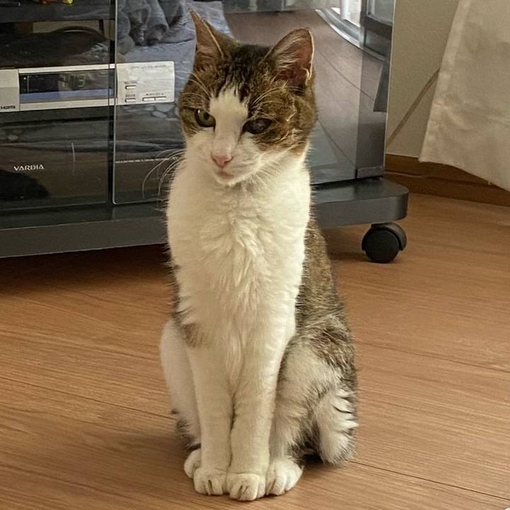 Bb833438 f7e3 4b8c b60a e7f41b259b06 1590492453908