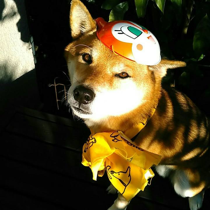 Bb835845 052b 47f6 bd54 8a809b41fd4f 1575353065564