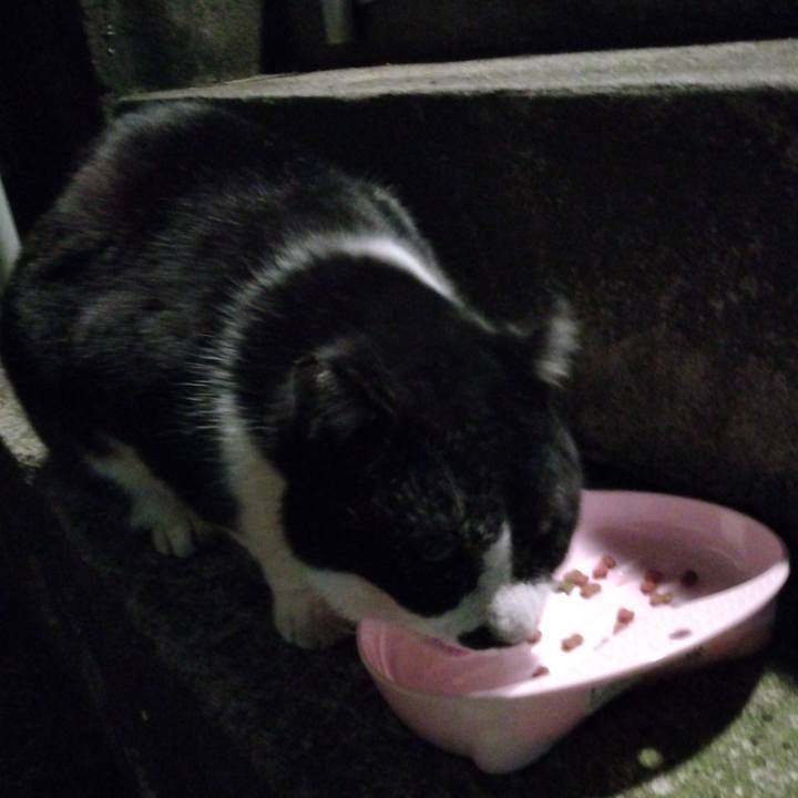 Bb83bca7 17f5 4758 bc15 138b36f68323 1703498342416