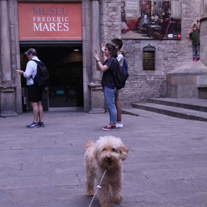 Bb841aab 582e 4652 a218 a8ad584759a9 1507816176624