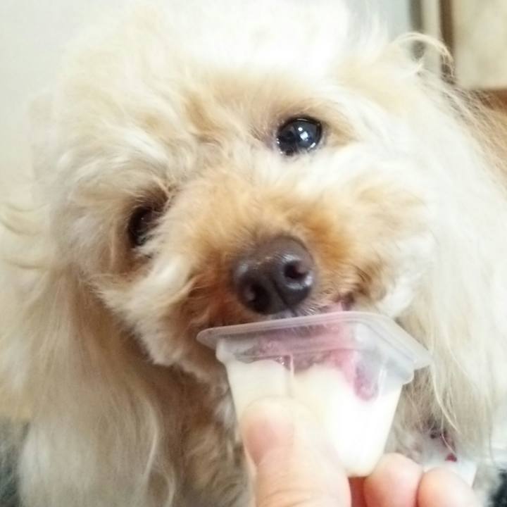 Bb842347 9eba 4165 a8a8 96d97c50f333 1528369643517