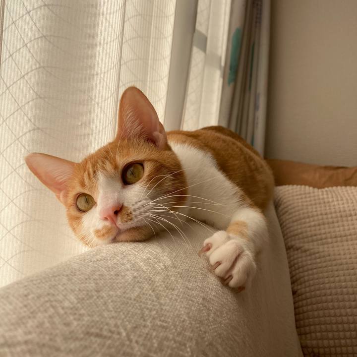 Bb842528 4d6f 44d1 b9ed 450a108a985a 1763678715270