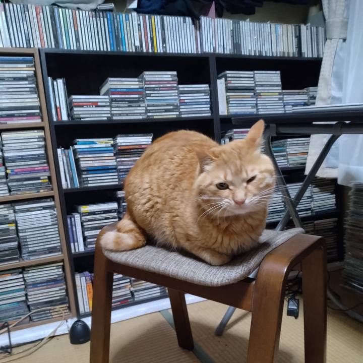 Bb843ce9 e4ad 4325 ba9a b6c9b229544a 1683635397598