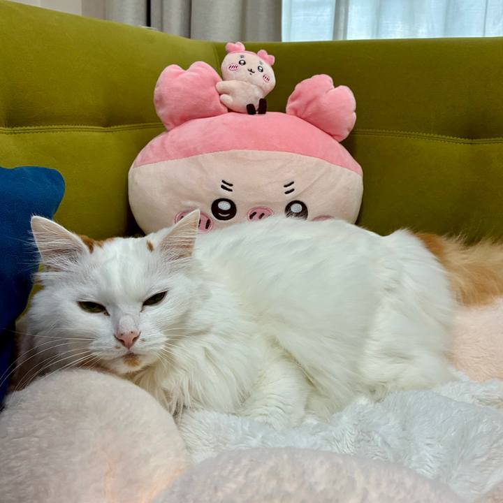 Bb8446ef d4a9 49fb ac87 042b926300c7 1767843308562