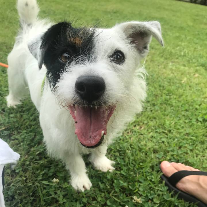 Bb845962 3577 47d2 970c 71979ce6be67 1530949233281