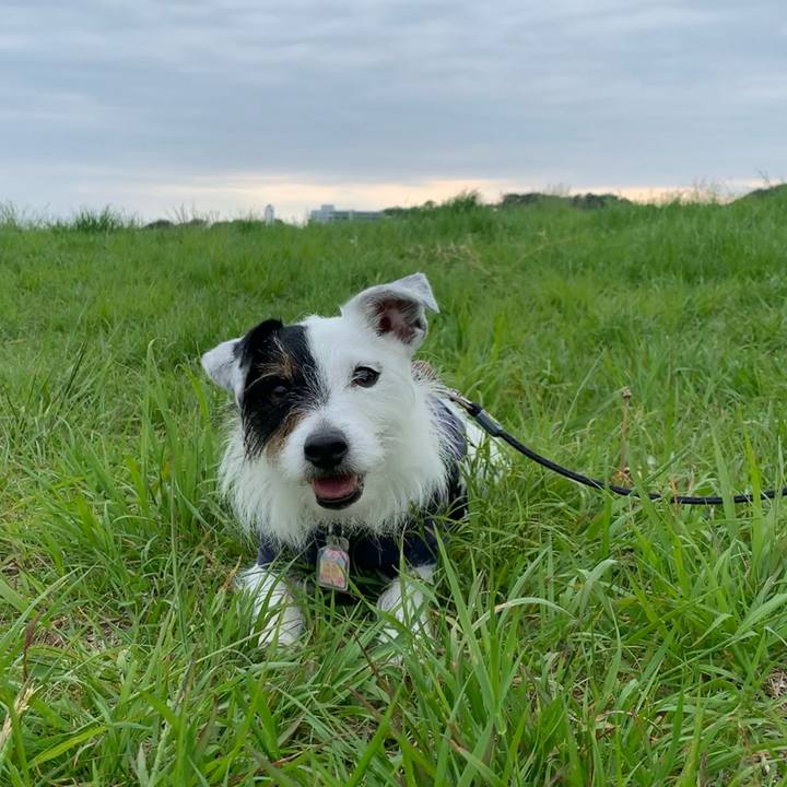 Bb845c02 b69c 4ad0 bd84 b6e02f69666a 1651995667778