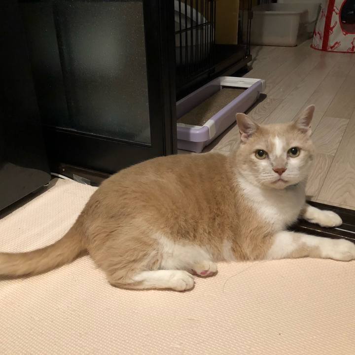 Bb848aa7 3d1c 40db 98ba cb48d41eb50a 1623581056881