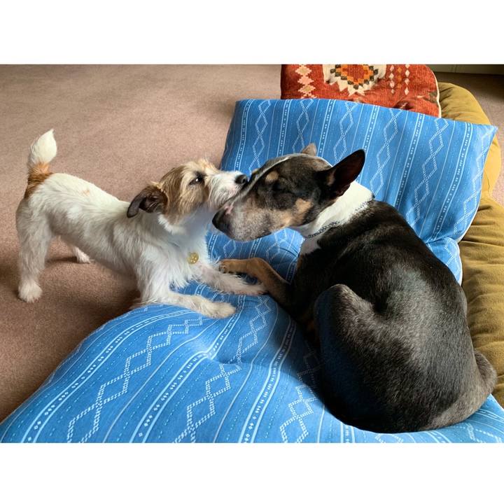 Bb84cfe3 2813 4827 8720 ea505b85cd73 1590971901416