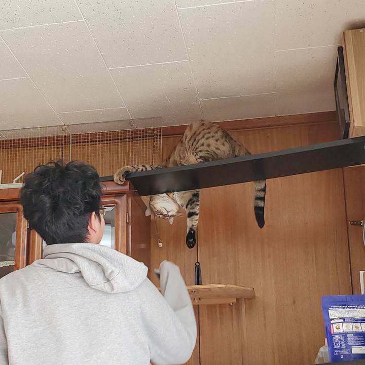 Bb84dcc2 6754 4daa 9b1a 97783bcca0e4 1704898351674