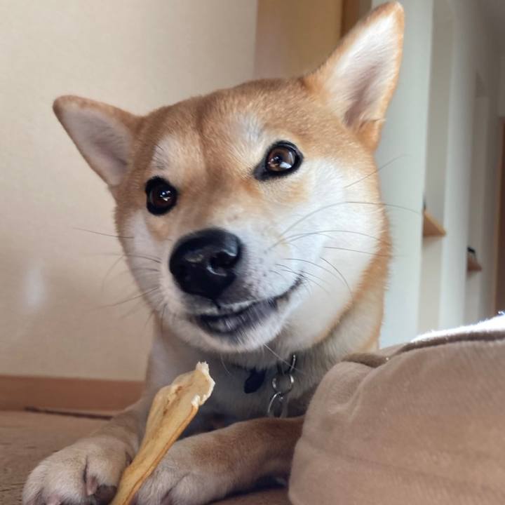 Bb8507b1 c77a 4804 9166 e753279d06a6 1642660989245