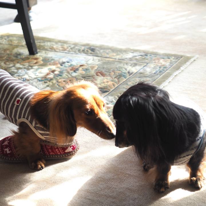 Bb8538b0 c6bc 489e 9469 62b71b0a77fc 1732345703888