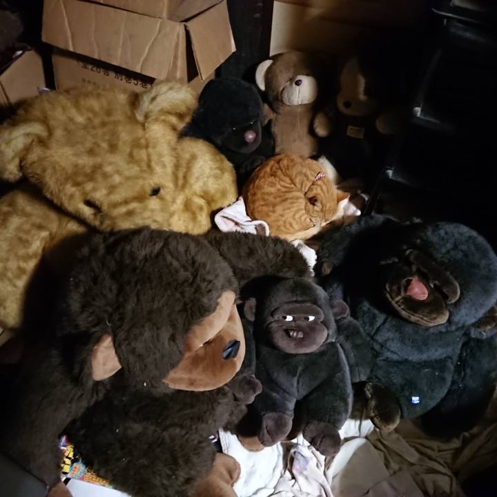 Bb8555e0 1a6e 49a8 af20 9b69415b5fe5 1606389309284