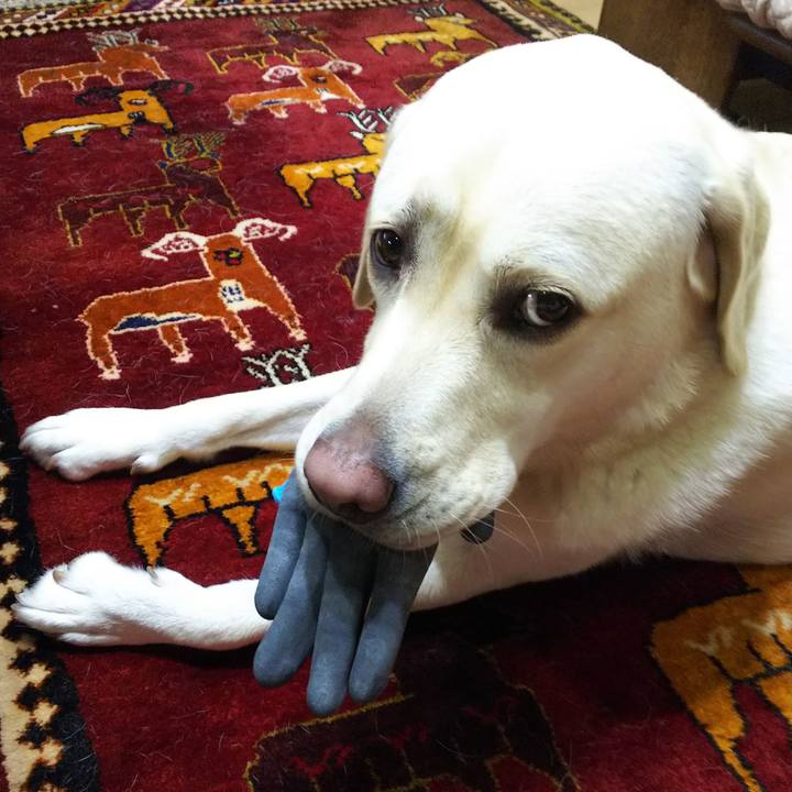 Bb857466 f4a3 4675 920d 064579ee1f96 1561203295771