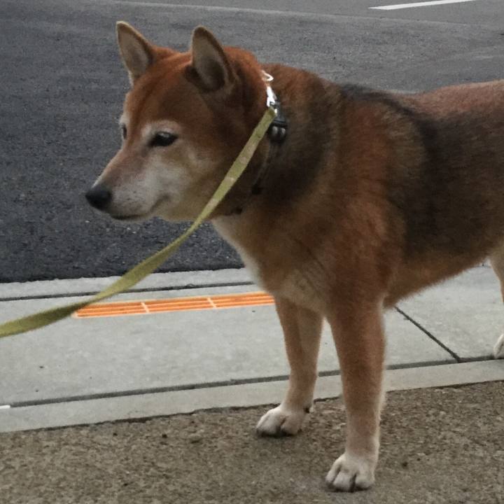 Bb858561 02f9 419c b7fc 196ed00fa9e2 1606650231930