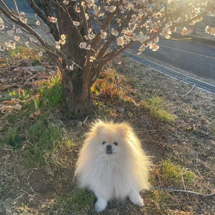 Bb858979 5486 4671 b0b6 c93d10170efc 1738880779920