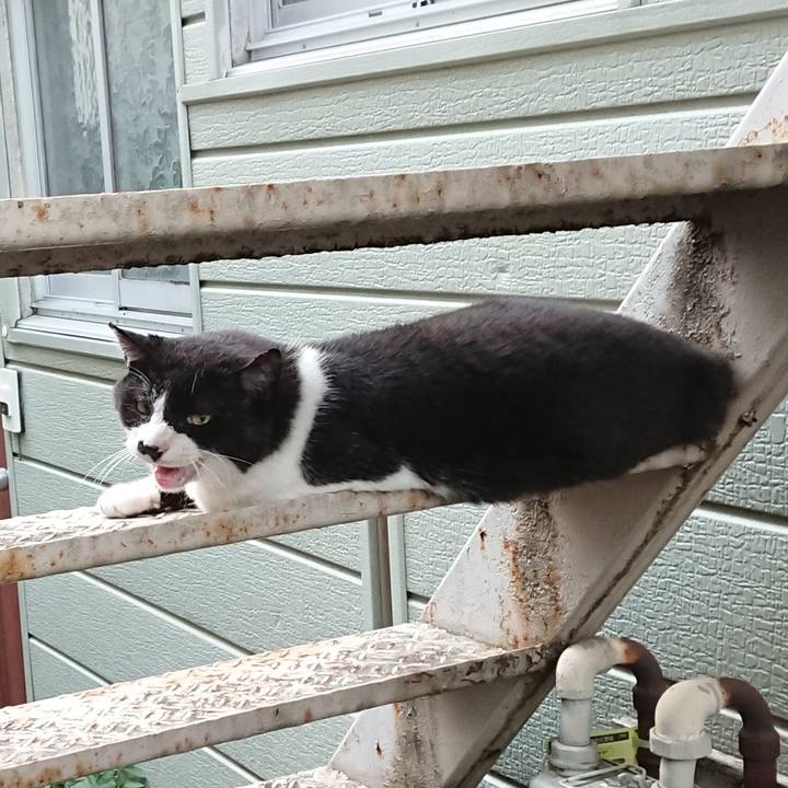 Bb85e86b 7796 4cb0 bf08 541f011190f6 1658133781412