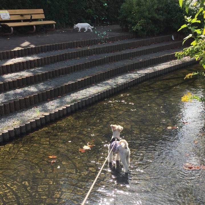 Bb85ed2f 1288 4661 bf21 bcd916f06141 1540704608083