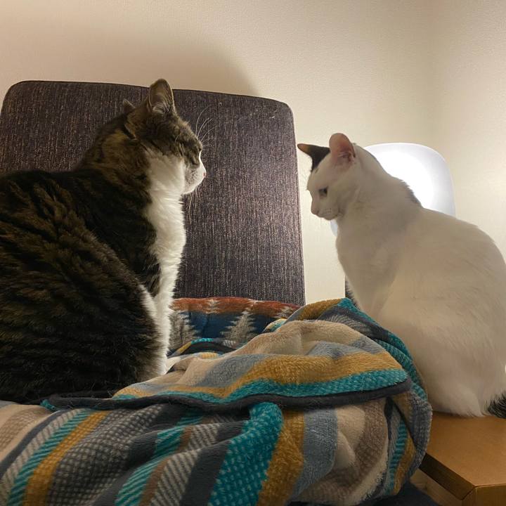 Bb85f0e2 c161 427c 96c1 8e8ee90ce0f8 1709124224922