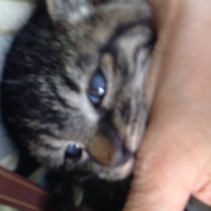 Bb86135c 50f4 4d22 80ec ead6946817a5 1527235393502