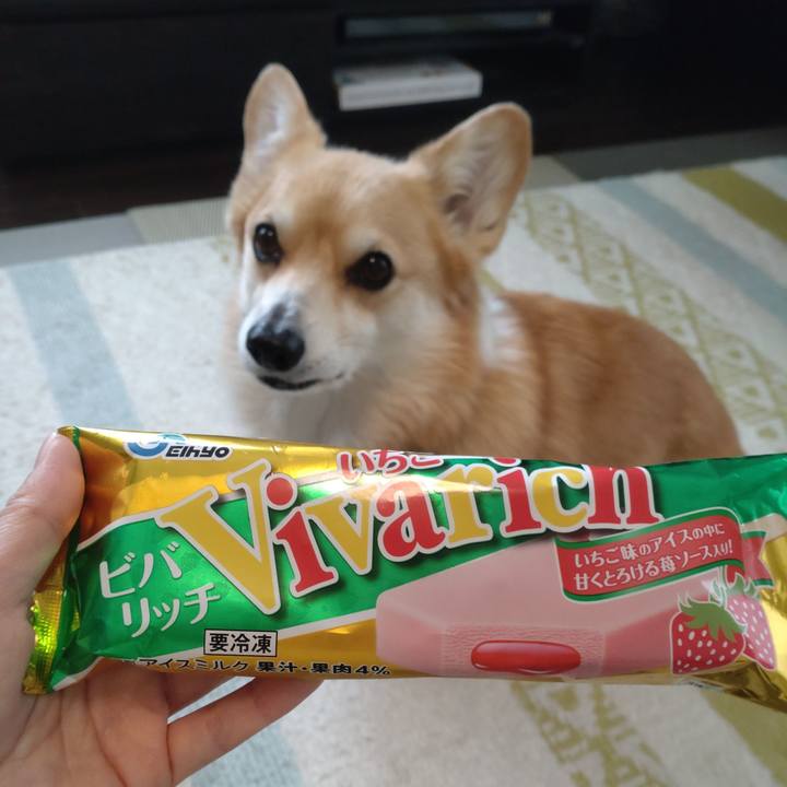 Bb8639dd f3c9 49e8 9937 94e7ae1762ca 1655131517170