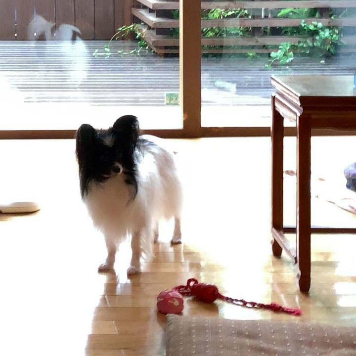 Bb863c7c f2ee 4560 9d95 9dc4acd46027 1563141203879