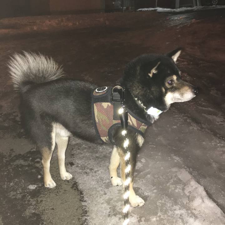 Bb86639c 81ed 4ab4 87b4 7e70825bb8de 1511818966742