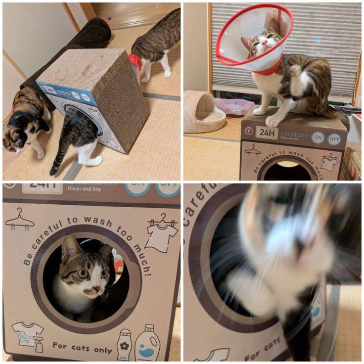 Bb867b7b 6317 49ea 979c cc69469de0d4 1765776501427