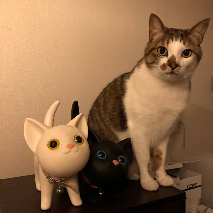 Bb867b9b ec4b 419d b779 2dbfce858e44 1537595986200