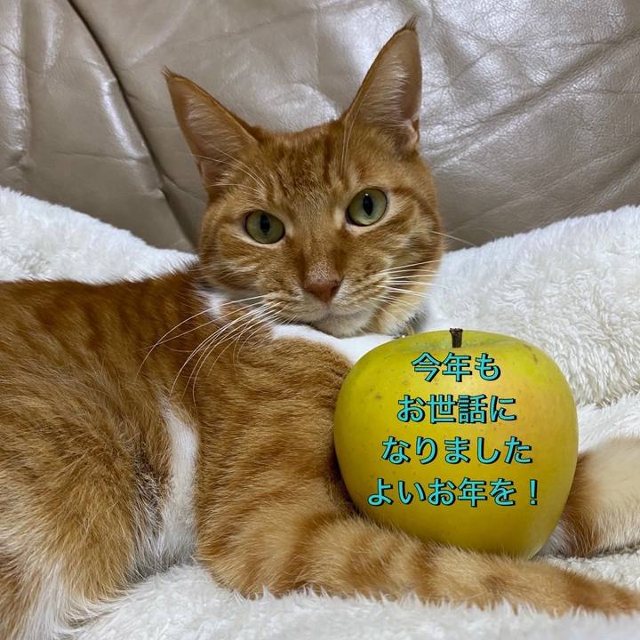 Bb867c40 5145 4099 93ea d1fed63eef41 1735598874925