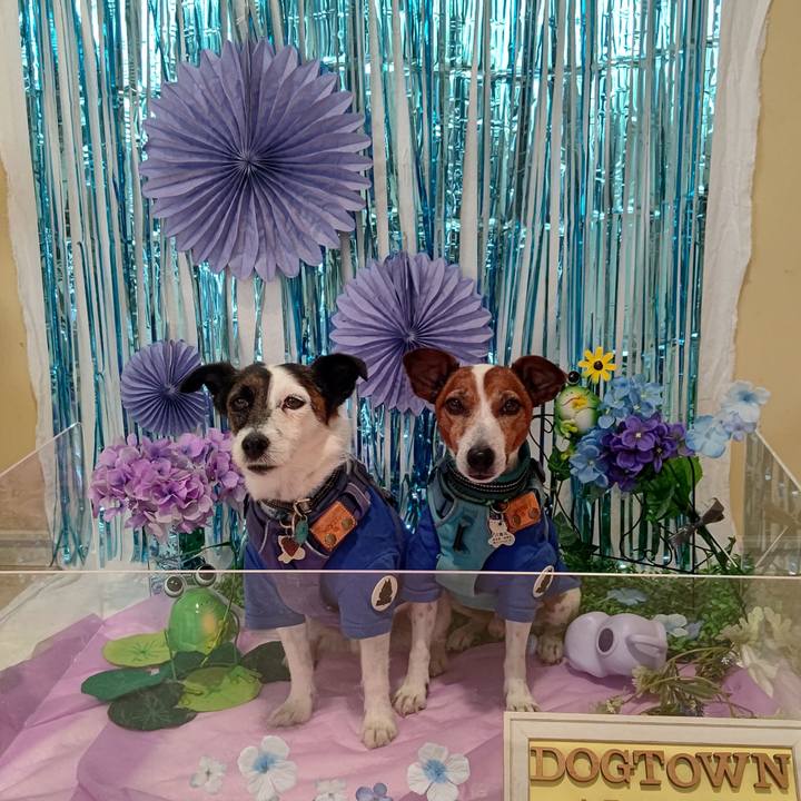 Bb86960f a0ea 4787 9183 5aeebb24cfb4 1717823774317